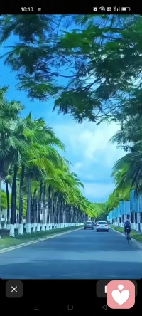 为什么钞票一天比一天少，我们会紧张，而生命一天比一天少，没有人在意一一弗洛伊德配图