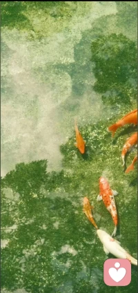 生命并不是条直线，而是像树一样。我们之中大部分人必须进行移植后方能开花