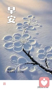 中年人的爱情叫灵魂伴侣
中年人的爱情，不是一时冲动，也不是权衡利弊，而是两个孤独的灵魂，熬过前半生后，迟来的相遇，走过青春的懵懂，经历过社会的压力，也看过了生活的千疮百孔，想要的不过就是可以沟通的灵魂，和情感同频，三观一致，有着相同兴趣爱好，脚步一致，能相互听对方讲话，听的懂对方讲话，愿意听对方讲废话的人共度余生…