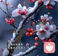 好治愈的一段话 ：
人有了爱才会争吵，
没有爱才会沉默。
争吵是因为在乎，
想解决问题，
不想失去彼此。
而沉默是累了，
算了，可有可无。
所以，一定要好好珍惜眼前人。
争吵，是为了走近，
而沉默，是因为走尽。