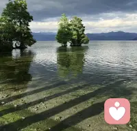 这样的世道，为人处世圆滑是一种能力，而且是一种非常难能可贵的能力！
