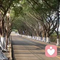 吾心安处便是吾乡配图