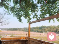 需要抢的和送上门的都不要
从从容容提升自己
你若盛开蝴蝶自来🌷配图