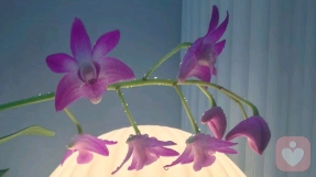 ✨ 学会“价值量化”，让简历自己会说话