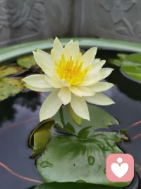 诸行无常，修的是接受；
因果不空，修的是付出；
关照自身，修的是通透。