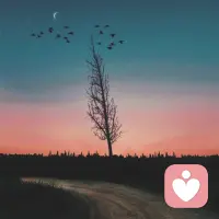 人与人之间都是以陌生而走近   因太了解而走远的。