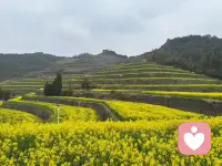 不必妄自菲薄：我们觉得自己一无是处的地方，或许正是别人遥不可及的天赋☘️