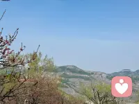 修正自己并非意味着放下工作和生活，恰恰相反，生活中的每一刻都可以成为修正自己的契机🎋配图