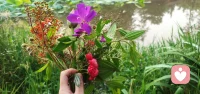 日日周旋于万千心绪，寻一处水边，摘一捧山野温柔。
无精心包装的花束，紫花、红果、青枝伴着晨露，是大自然独一份的浪漫馈赠。
允许情绪起落，允许自己短暂逃离，在草木之间和内心对话，这份安静的诗意，足够抚平所有不安。配图