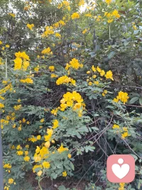 允许一切发生。
难过不必硬扛，疲惫不用逞强，
你不需要时刻强大，
好好善待自己，就是一种力量。