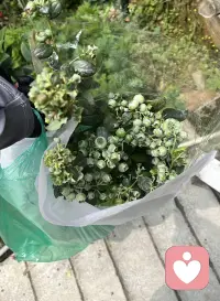 一个人最好的状态该是什么样？别让婚姻的幸与不幸、枕边人的忠与不忠困住你，要知道人生从不全是婚姻。下半辈子，拼的是你自己！把身体养得健康，把日子过得舒心，每天好好打理自己，少操那些没用的心，多去挣能给你底气的钱。不眼红别人的生活，不贬低他人的选择，更别总想着依靠谁。默默努力，好好爱自己，委屈自己消化，格局要放大。别执着于改变别人，认知不在一个频道，没必要互相征服。成年人的世界，只筛选不教育，只选择不改变。这样的状态，你值得拥有，你赞同吗？配图