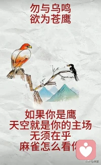 “事与愿违皆风景，分道扬镳亦温柔。”要允许别人变心，允许别人权衡利弊，允许你爱的人深思熟虑之后不再选择你。接受世界上的事与愿违和分共鸣配图