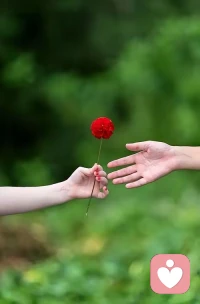 “新年第一课 爱别人适可而止 
          爱自己尽心尽力”配图