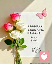 请允许自己穿上铠甲，那不是冷漠，是善良的底线。你没变坏，你只是学会了止损。往后余生，愿你的温柔带点锋芒，把真心留给值得的人，好好爱自己。配图