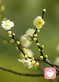 永远不要提前焦虑，万物自有节奏，尽你所能，敬你所不能，不为难自己[调皮]