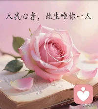 “当你的压力大到快要崩溃时，不要和别人去讲，也不要觉得自己委屈，要像余华说的那样，在夜深人静的时候，把心掏出来，自己缝缝补补，然后睡一觉，醒来又是信心百倍。无人问津也好，技不如人也罢，你都要试着安静下来，自己该干什么就干什么，而不是让烦躁和焦虑毁掉你本就不多的热情和定力。心可以碎，手不能停，该干什么干什么，在崩溃中继续前行，才是一个成年人的素养…”配图