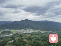 生命中没有那么多的应该和不应该，除去生命健康道德底线不能触碰。当你被“应该，不应该”折磨得痛苦不堪的时候，想想，捆绑着你的这些，是真的，还是你的执念？