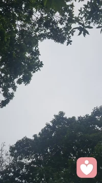 你羡慕别人的美满，是因为没看到别人的不易和脆弱，而这些才是真实的人生。早上好