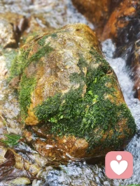 身处低谷时，也可以不抬头看天空，看看眼前的风光， 这些也可以成为滋养你的能量。