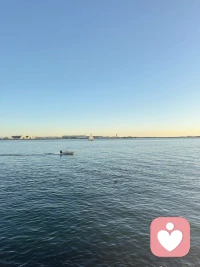 你生命中所发生的一切都是你内在召唤而来的。

记住，不要入戏太深，这个三维世界的一切都只是相而已，比如离婚、生离死别、负债、痛苦、焦虑等等，其目的就是为了让你体验这些相背后所带来的感受。

当你体验后，真正接纳了，所有的相自然就都会消失。

相反，如果你抗拒，你不接纳，只会延长你体验的时间，加深你痛苦的感受。

所有你心里不能接受的事，会反复一遍遍的来磨练你。只有跳出小我后，让自己成为觉知者，站在身外看着自己的经历，允许一切发生、接纳、放下、方可通关。

有些挫折是必须要经历的，有些人和事的突然出现，就是为了给你上一课，打破你、粉碎你、然后再重塑你。只有这样，你才能不断升级自己，完成这一次的课题。

每个人都是独立的领了一套只属于自己的试卷，题是千变万化，但核心一定是围绕你过不去的坎而出题。

比如你性情急躁，就总会遇到催促你的人，看你是否能沉稳下来。比如你没有安全感，就总有人给你制造不安。比如，你多疑，就总出现让你怀疑的事情。目的都是考验你，看你是否能通关。

你有自己的课题，那他人同样也有自己的课题，题只能自己答。所以，要学会不着相。

凡所有相，皆是虚妄，你所产生的念头是你自己内心所映射出来的，是虚空的，而你却认为这是一件实际却要发生的事情，因为妄念在你脑中已经让你黑白颠倒，白天黑夜都不分了。而你因为痛苦的状态，从而进入一个重复的恶性循环，再次混沌痛苦。

若见相非相，即见如来，如来就是自在的人，而各位呢？见相是相，即见魔鬼、魔鬼就是痛苦的人，在这里没有如来和魔鬼没有任何的意义，仅仅是一个专有名词。

如果你能够超越，对这些表面现象的执着和迷惑，不被他们所束缚，认识到这些相背后的空性本质。那么，你便能自在的感受当下。

但在生活中，别人的一句嘲讽你的话，一个厌恶你的眼神，一件失败的小事，你都会执着这个相难过，思考自己到底做错了什么。

当你学会以游戏家的心态，上帝般的全息视角来审视人生这场宏大的旅程时，生活的面貌便焕然一新

在这场游戏中，我们既是参与者，也是旁观者。我们沉浸在每一个情节之中，体验着喜怒哀乐、生老病死、七情六欲的起伏跌宕

但同时又保持着一份超脱与冷静，仿佛一个旁观者，俯瞰着这一切发生。

学会抽离出来，上帝视角看问题，最终你会发现，不再被那些表面的现象所迷，不再执着于外在的相,而是能够真正地享受每一个当下，接受和感受生活的美好体验！