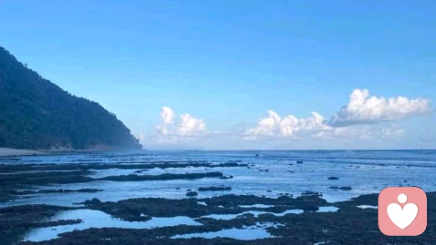 重塑金钱观,在中道与现实中寻回生命的丰盈