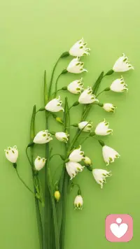 这世间有许多美好，等着我们去发现，去感受。