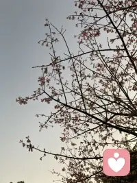 跌入谷底并不意味着停在这里，生命总会存在着其他出口。