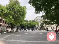 让痛苦流经我，如果痛苦必须来，那就充分地体验过痛苦，它始终都会过去的。春天依旧会准时抵达，带着它不管不顾的芬芳。而我将站在新的疆域里，认出自己——一个曾被痛苦彻底穿透，因而更能容纳光的人。