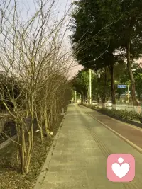 不要赌天意，不要猜人心。天意输不起，人心猜不透。配图