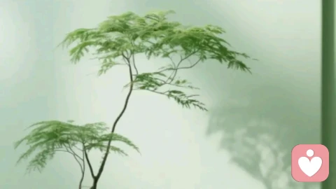 被误解的“恋母情结”从佛罗伊德的幽灵到现代心理学的再阐述