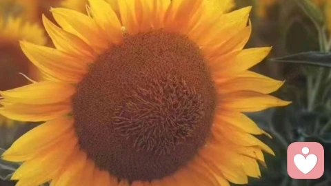 45岁，我在婚姻里挣出了生活，却丢了平衡\n