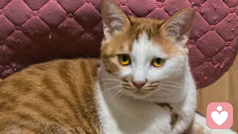 真正的自爱，是一生最顶级的修行\n