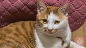 真正的自爱，是一生最顶级的修行\n