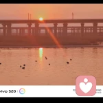 尘封往事随风飞舞的头像