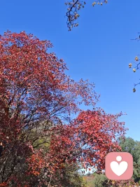 假如累了，就停下来歇息下，听一下内心的声音。配图