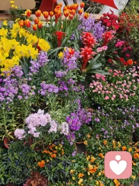 时间无语，却回答了很多问题。慢慢沉淀，默默学习，让自己变的越来越优秀。配图