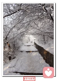 结束今日咨询，生出许多细碎感悟。见过太多人前逞强、人后emo的时刻，也听过太多辗转难眠的心事，愈发明白，能有个地方放心倾诉，对很多人而言已是慰藉。不用急着给答案，不用忙着讲道理，安静倾听、用心共情，就已是温暖的支撑。每一份托付都藏着期待，每一次敞开心扉都带着勇气。愿我们都能在风雨里学会自愈，也能在遇见时彼此照亮，哪怕只是一点微光，也能照亮前行的路，把日子过出安稳与明亮。