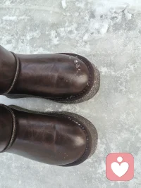 正心  正念  正言   正行配图