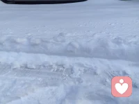 正心  正念  正言   正行配图