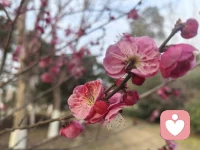 世界熙熙攘攘，适合独来独往。配图