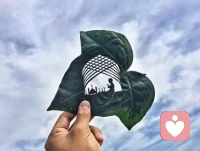 微小的、持续的调整，比雄心勃勃的失败更有力量