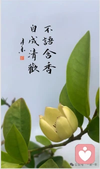 任何关系，不期待、不强求、不依赖

人与人之间，最舒服的关系，莫过于此。

不期待，便少了失望的苦涩。

不强求，便没了纠缠的疲惫。

不依赖，便有了独立的底气。

把目光收回，专注于自身的丰盈。

当你的世界足够广阔，

他人的来去，不过是风景的变换。

缘来，坦然相待，珍惜当下。

缘去，挥挥衣袖，各自安好。

不强求任何关系，不依赖任何人，

不期待任何事配图