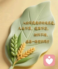 日子慢慢过，温柔且坚定，所遇皆温暖，所行皆坦途。配图