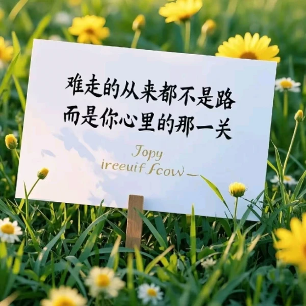 欣馨💞聊愈
