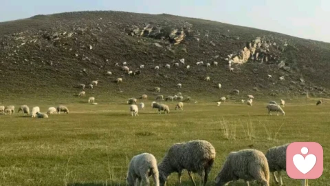 做自己生命的主人