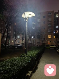 迷茫的时候，放空自己，像植物一样呼吸。让自己慢慢恢复。。。配图