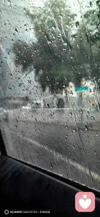 每一滴雨都在告诉你：慢慢来，你不需要总是那么坚强。农历十二的今天，允许自己像雨一样自由流淌。”