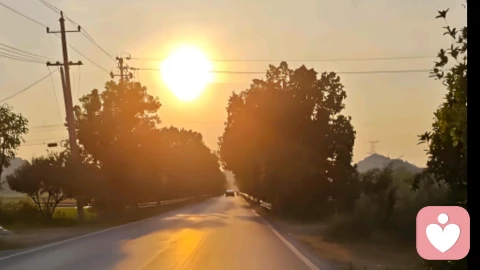 爱情总犯一样的错，为什么