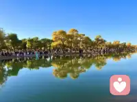 风无定，人无常。既然握不住流沙，不如扬了它，安心喝杯茶。配图