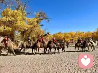  情绪没有对错，难过就哭，累了就歇，你不需要时刻坚强。配图